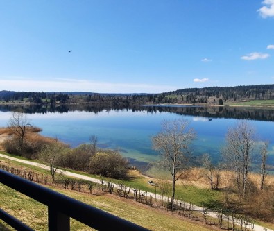 MALBUISSON - T2 - VUE LAC IMPRENABLE - GARAGE - CAVE