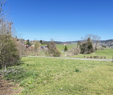 Beau terrain plat de 733 m2