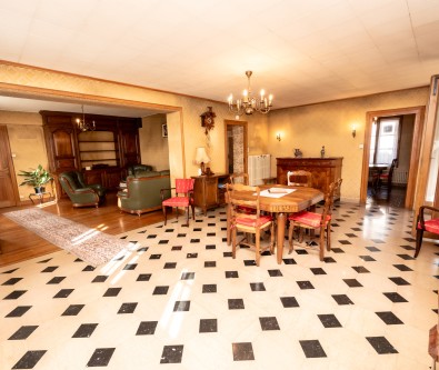 MAISON DE 208 m2 SUR 733 m2- Proche frontière
