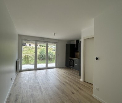 LES HOPITAUX NEUFS - T2 - PARKING SOUS SOL - BALCON