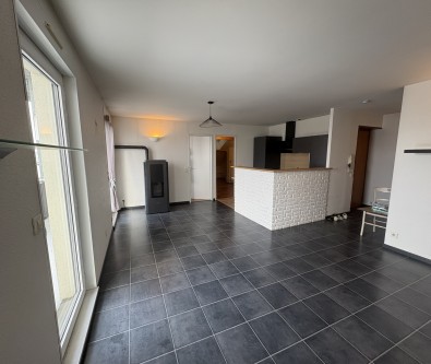 FRASNE - APPARTEMENT T4 - TERRASSE - CELLIER - GRAND GARAGE 