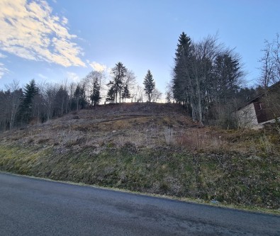 Terrain d'excéption constructible sur le lac